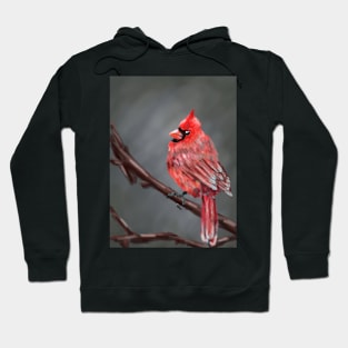 Red Cardinal Hoodie